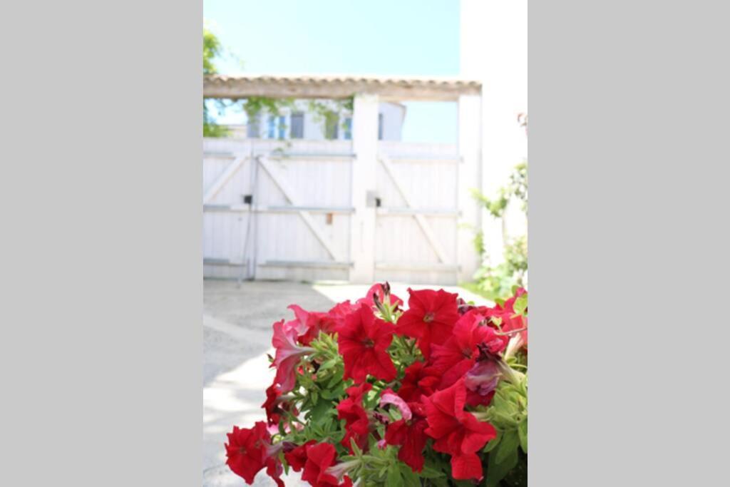 La Virginie - Ile'o Apartment