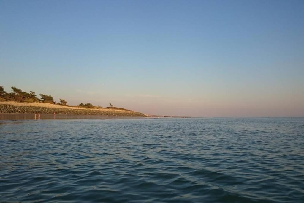 La Virginie - Ile'o * La Couarde-sur-Mer